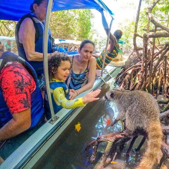 Picture 1 for Activity From Cartagena: Baru and Playa Blanca Full-Day Mangrove Tour