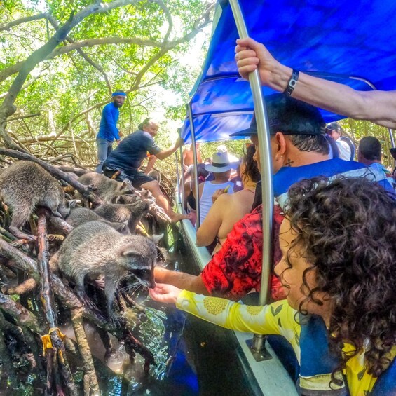 Picture 5 for Activity From Cartagena: Baru and Playa Blanca Full-Day Mangrove Tour