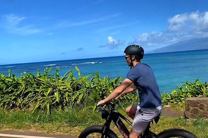 West Maui eBike Island Explorer Full-Day Rental