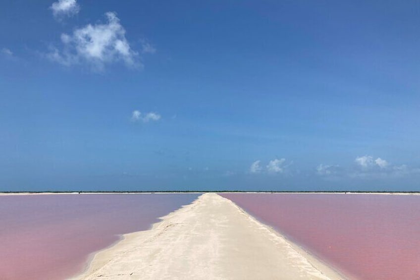 Admission Ticket to Safari in the Pink Lagoons of Las Coloradas