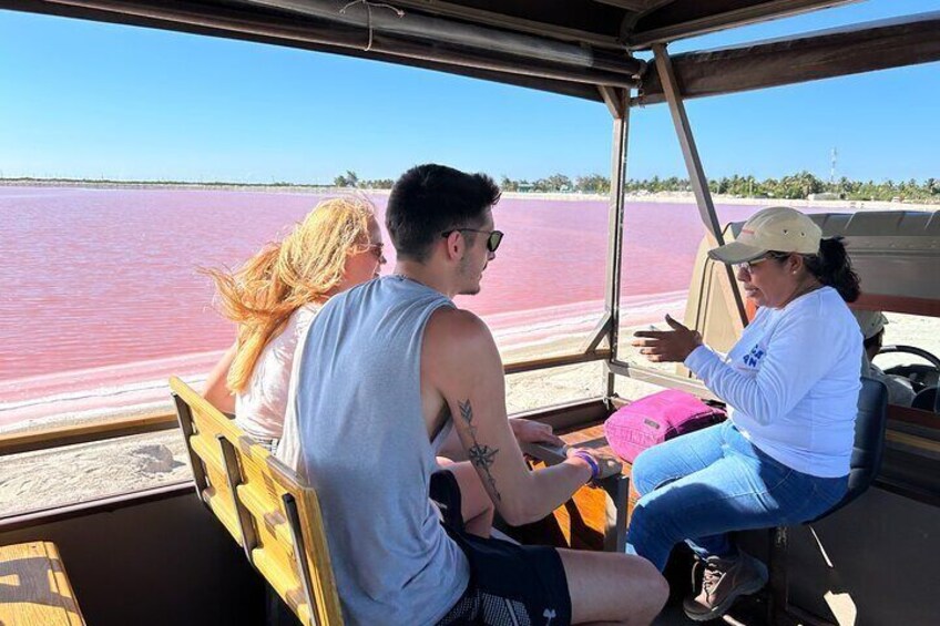 Admission Ticket to Safari in the Pink Lagoons of Las Coloradas