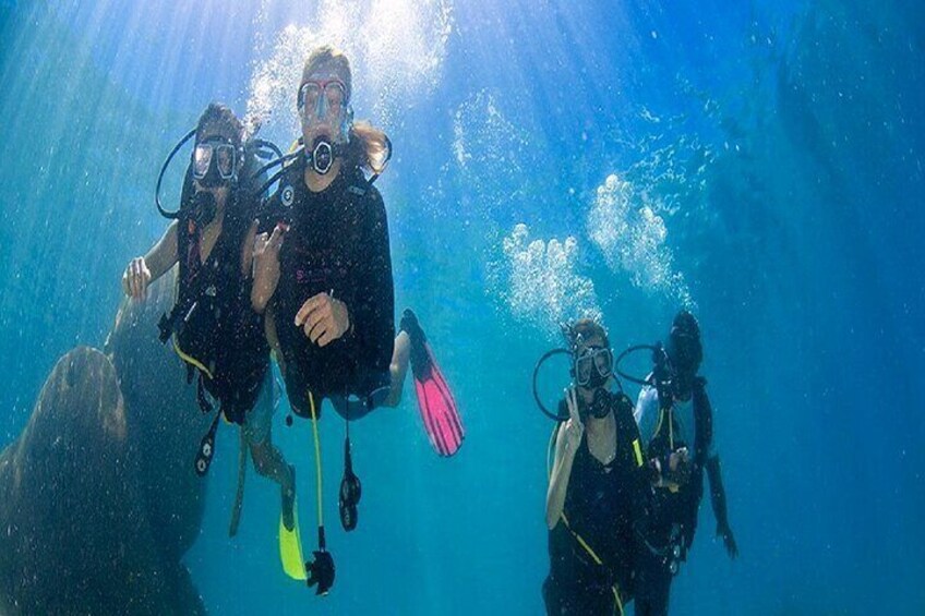 marmaris and icmeler scuba diving