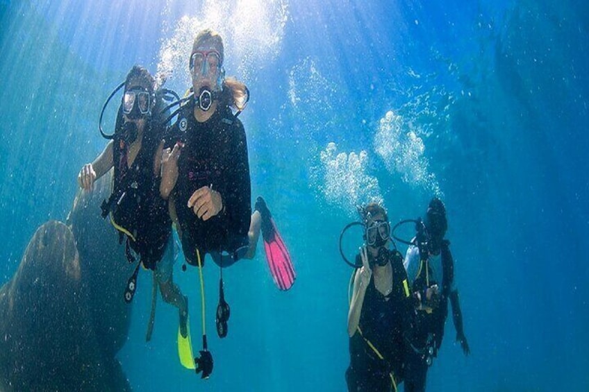 marmaris and icmeler scuba diving