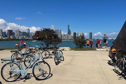 2 Hour Chicago Landmarks & Lakefront E-Bike Tour