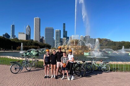 2 Hour Chicago Landmarks & Lakefront E-Bike Tour