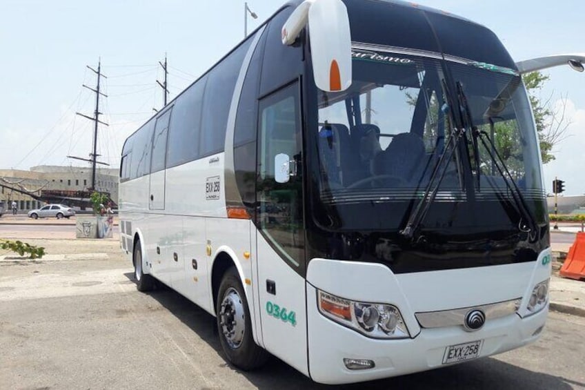 transportation services in buses and van of various quotas full availability