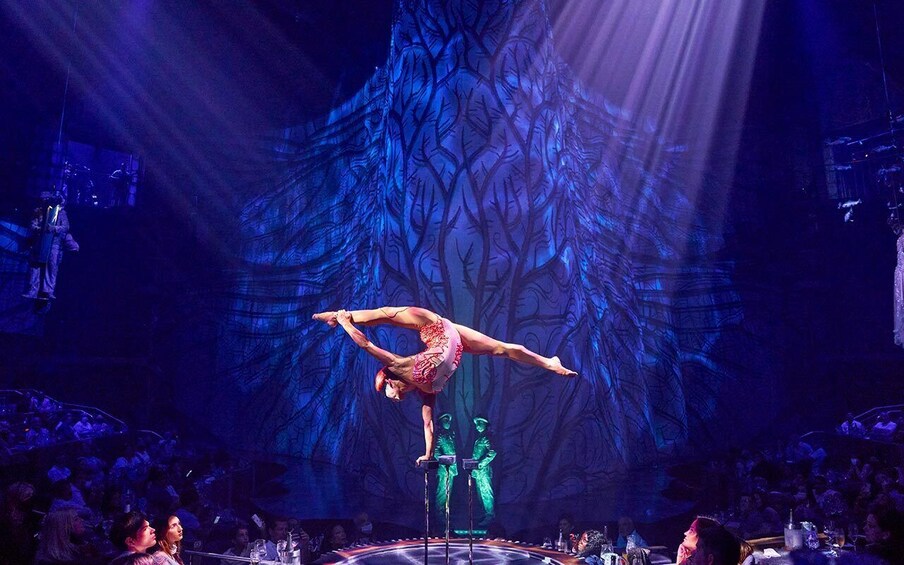 Cirque du Soleil JOYÀ + Transportation from Playa del Carmen