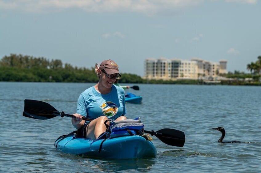 Kayak Tour at Shell Key with Capt Yak