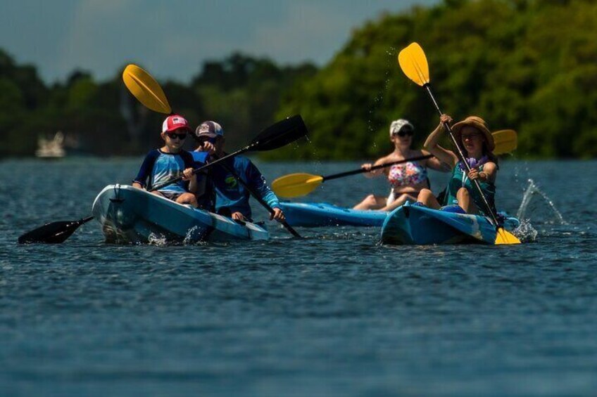 Kayak Tour at Shell Key with Capt Yak