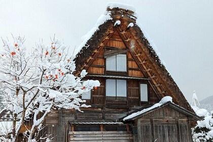 1-Day Takayama Tour: Explore Scenic Takayama and Shirakawago