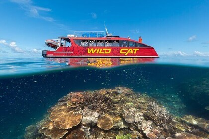 Outer Reef Snorkel Adventure in Airlie Beach