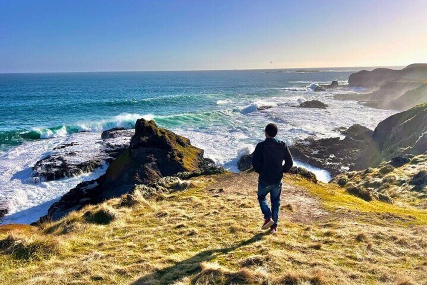 Phillip Island & Penguin Parade Afternoon Eco Tour from Melbourne