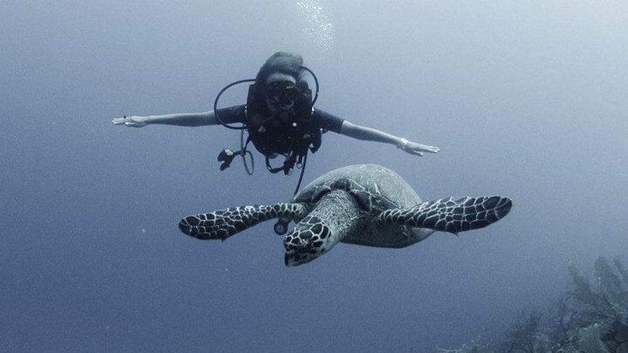 PADI Discover Scuba Diving