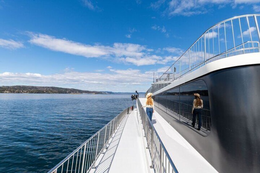 Electric Cruise in Oslofjord