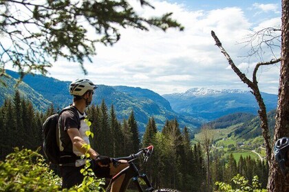 Mountain Bike - Voss Storålsen