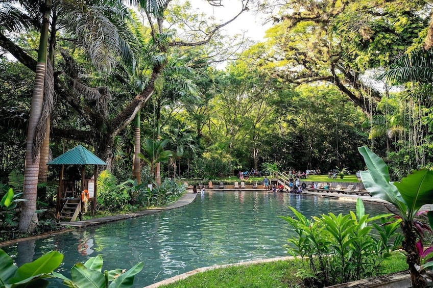 Appleton Rum, YS Falls & Pelican Bar Private Tour