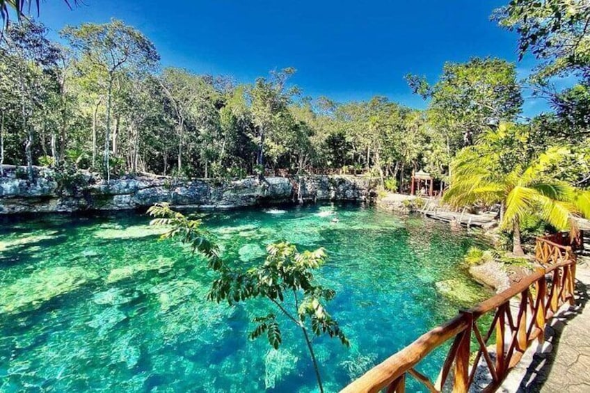 Cenotes Day, with transportation from Cancun, Playa DC or Tulum