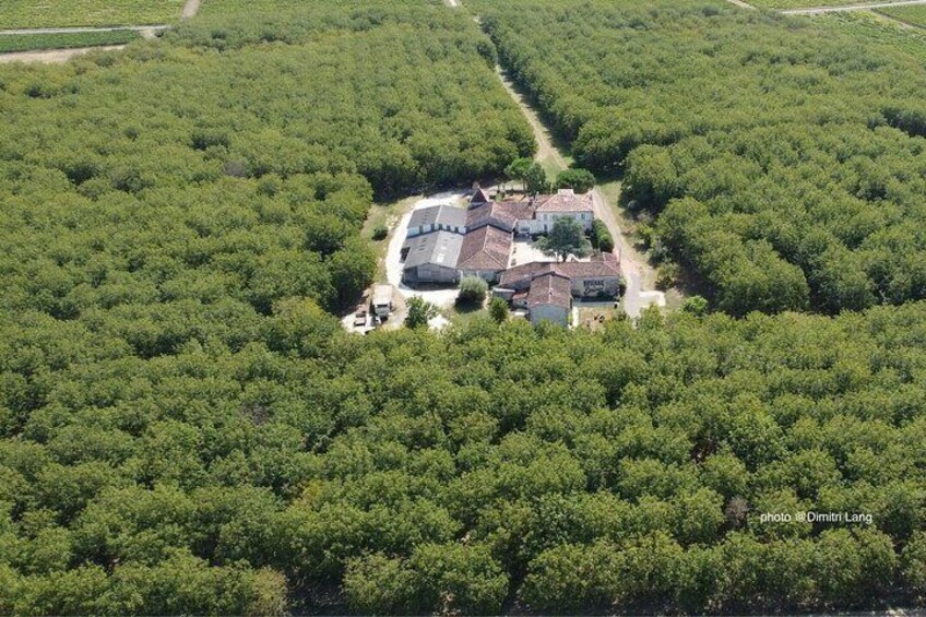 Picnic in the shade of the walnut trees and private visit-tasting
