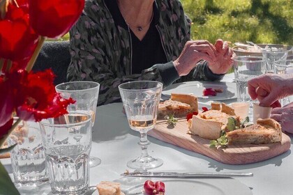 Picnic in the shade of the walnut trees and private visit-tasting