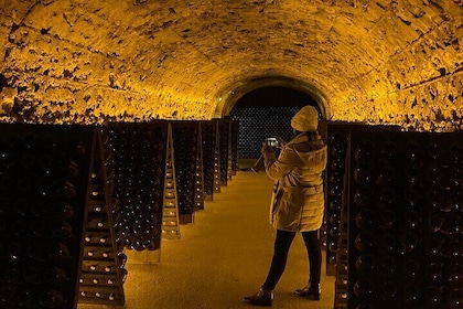 Exclusive Champagne tour from Paris including 3 house visits