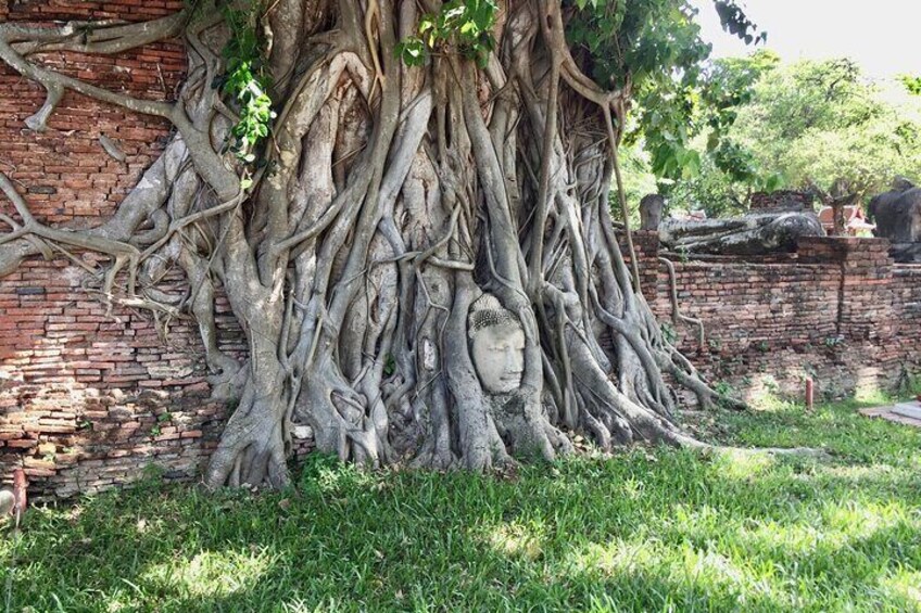 Ayutthaya Unesco World Heritage Day Tour 