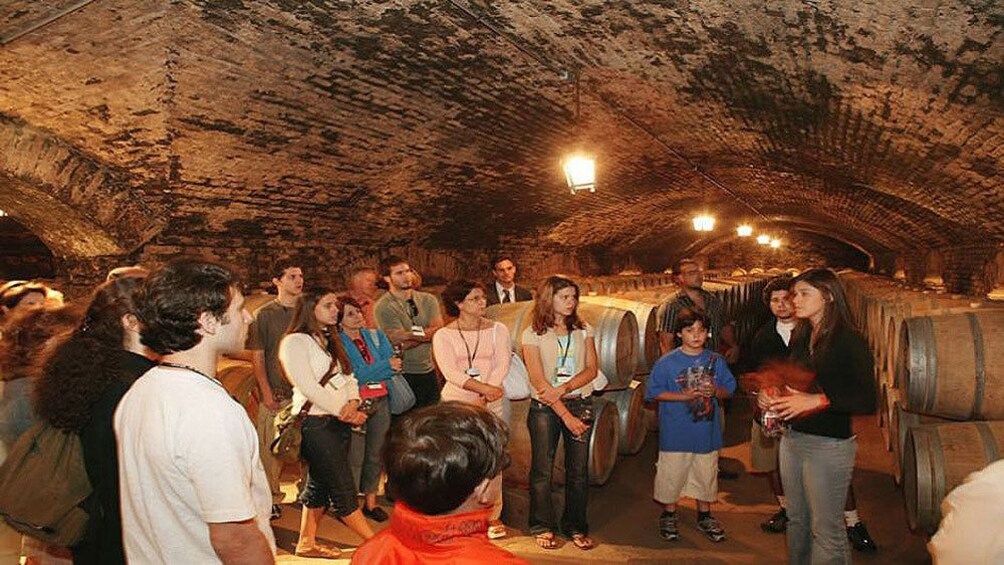 Tour guide talking to group in winery cellar in Santiago