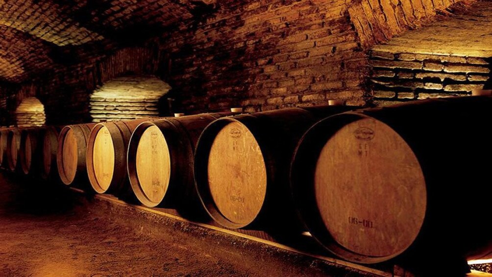 Large barrels in wine cellar of winery in Santiago