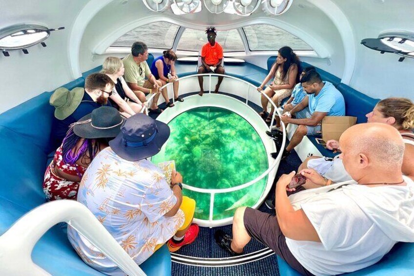 Private 2-Hour Tour in Nassau