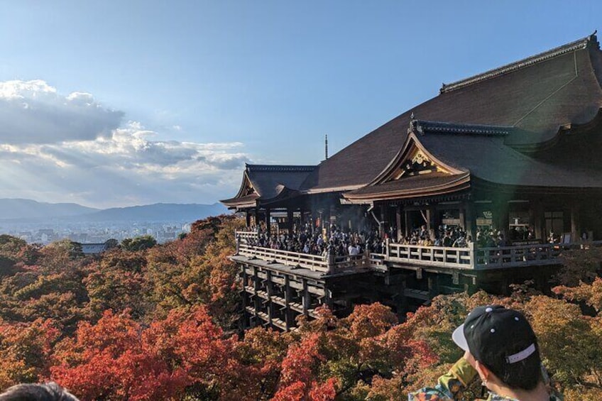 Tour in Kyoto with a Goverment Certified Tour Guide