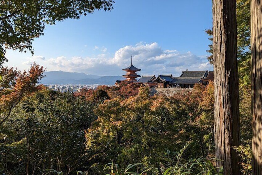 Tour in Kyoto with a Goverment Certified Tour Guide