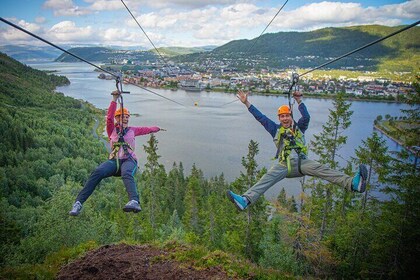 Zipline Experience in Mosjøen