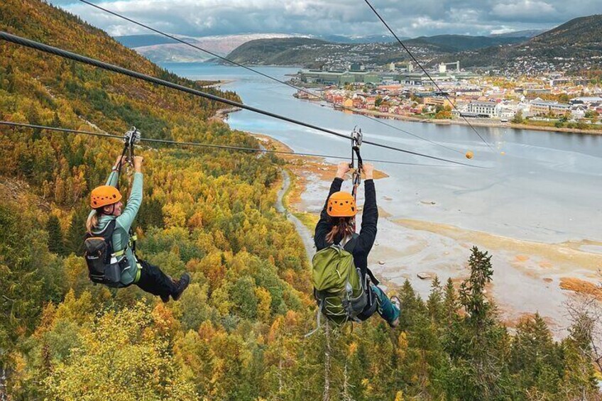 Zipline Experience in Mosjøen