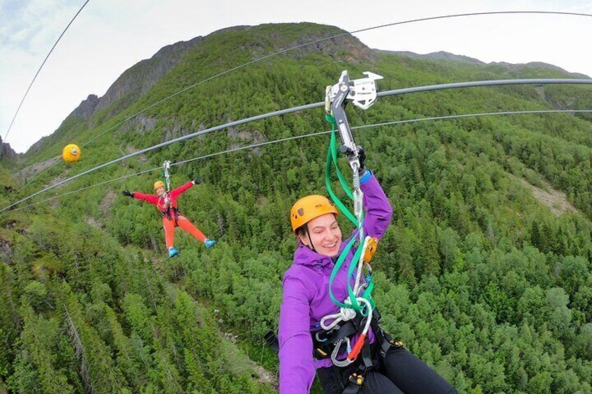 Zipline Experience in Mosjøen