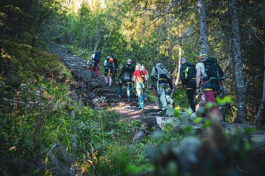 Zipline Experience in Mosjøen