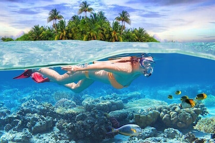 2 Hours Sip and Snorkelling Experience in Bahamas