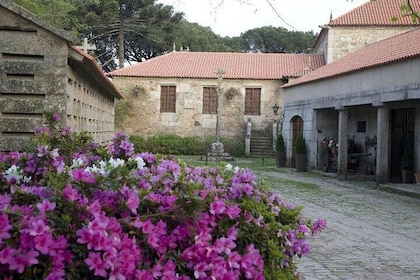 Albariño Private Wine Tour in Rias Baixas