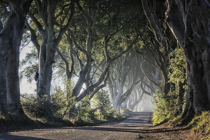 Dark Hedges Game of thrones 