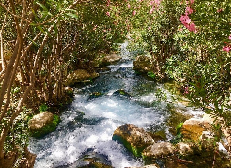 Picture 5 for Activity From Albir or Benidorm: Algar Waterfalls Day Trip