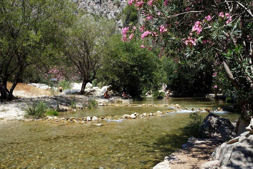 Picture 10 for Activity From Albir or Benidorm: Algar Waterfalls Day Trip