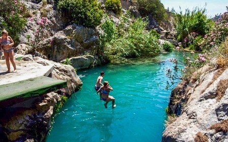 Fra Albir eller Benidorm: Dagstur til Algar-fossene