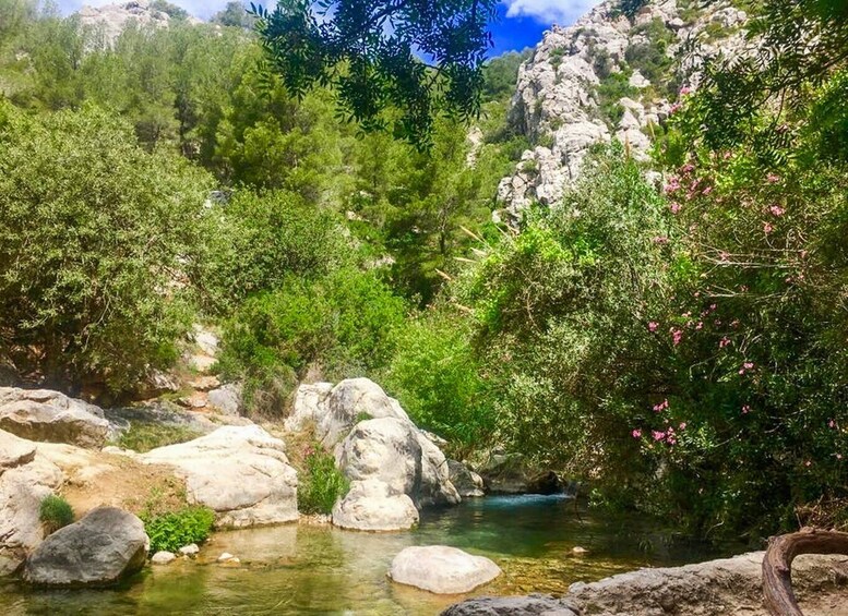 Picture 4 for Activity From Albir or Benidorm: Algar Waterfalls Day Trip