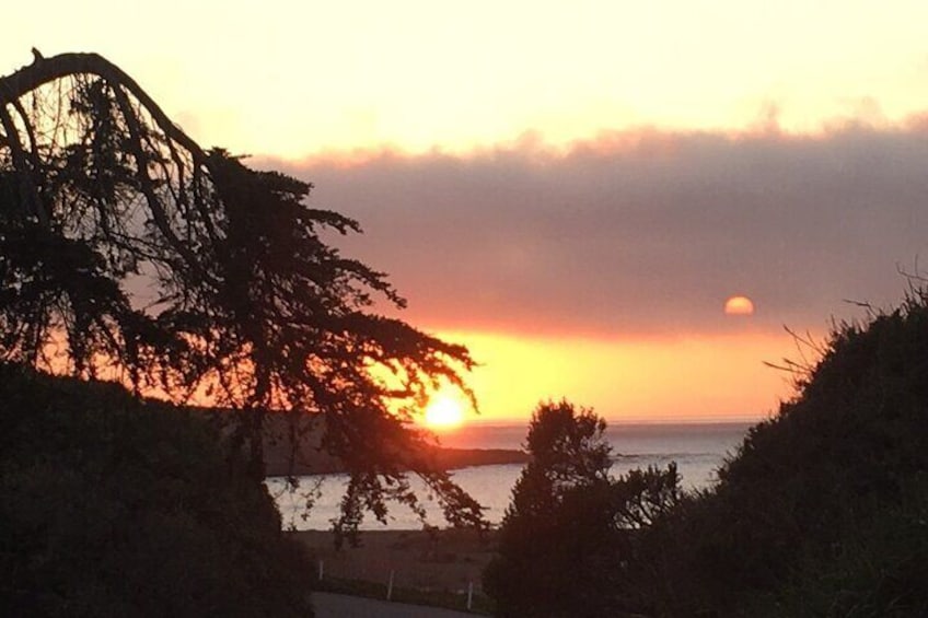 Guided full-day Big Sur hiking adventure with lunch