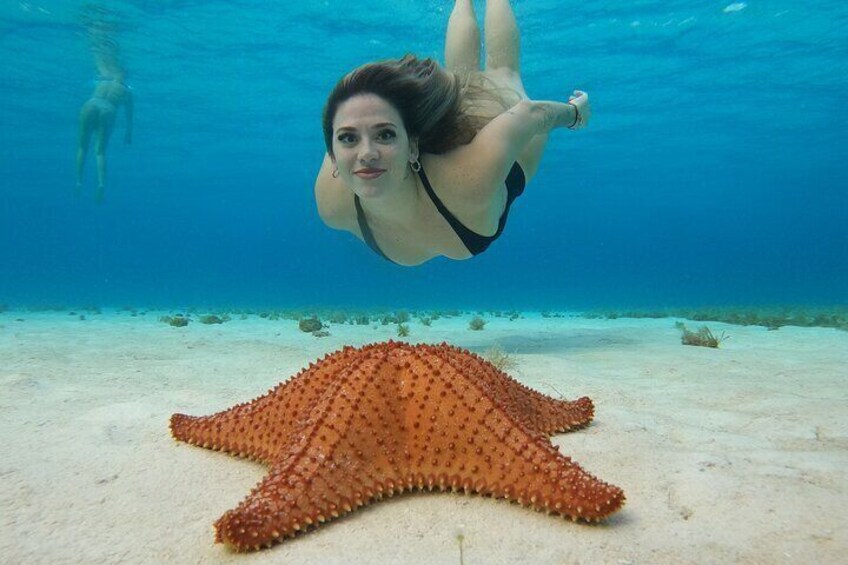 Cozumel El Cielo Snorkeling Tour