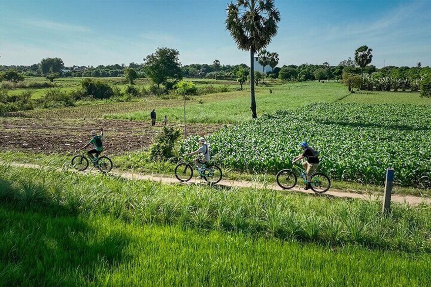 Phnom Penh Bike & Boat Sunset Tour