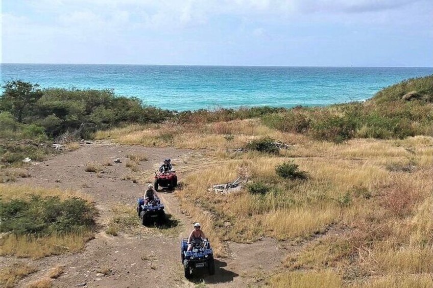 ATVs