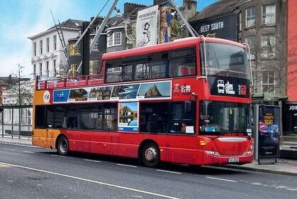 Hop On/Hop Off Cork City Sightseeing Tour