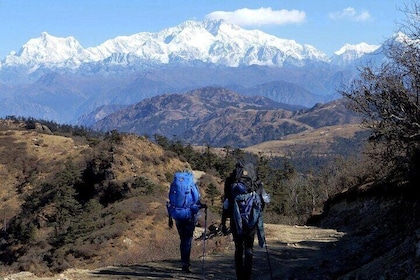 Singalila Trek from Darjeeling