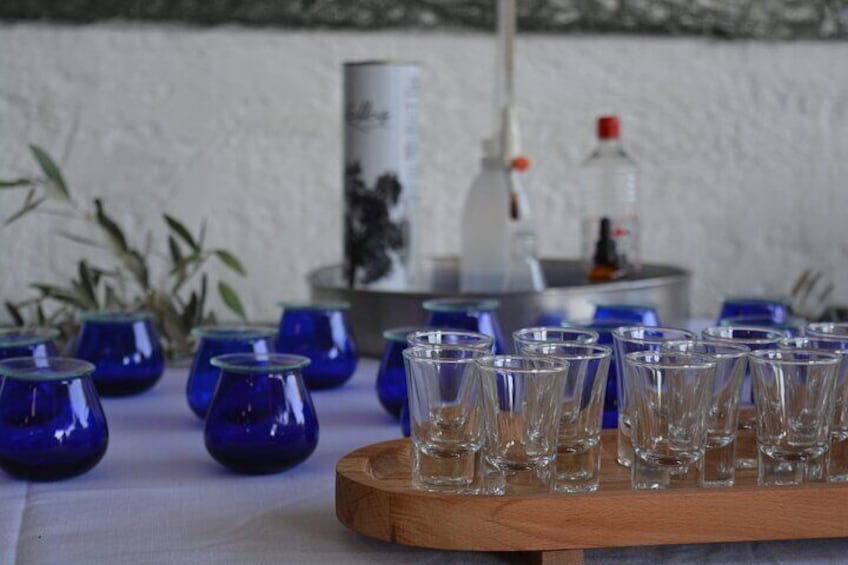 Rhodes: Olive Oil and Olives Tasting in Rhodes-From Tree to Table