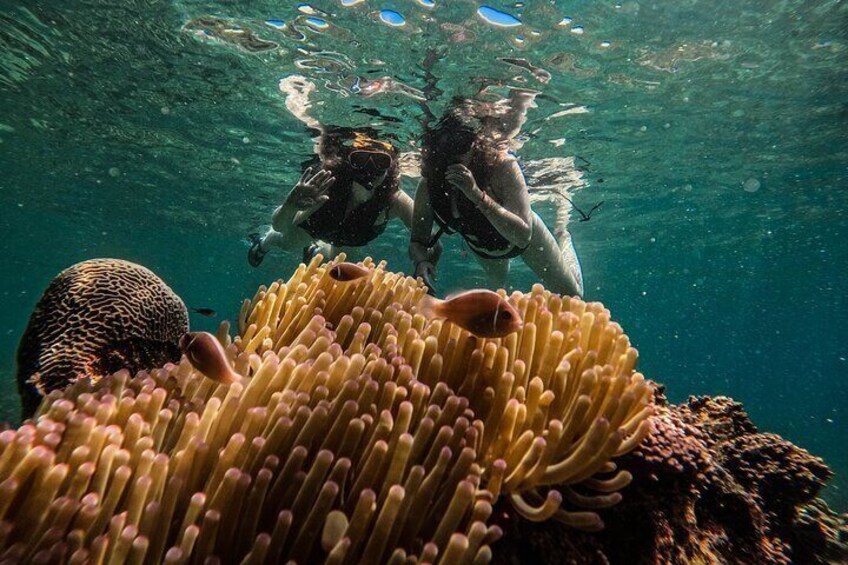 Discover Baa Atoll in 4 Nights and 5 Days