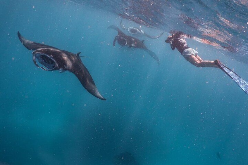 Discover Baa Atoll in 4 Nights and 5 Days